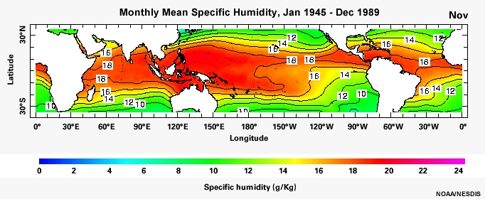 Monthly Mean Specific Humidity, Jan 1945 - Dec 1989