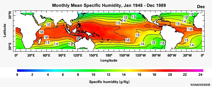Monthly Mean Specific Humidity, Jan 1945 - Dec 1989