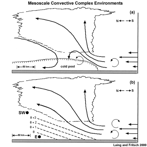 Storm evolution in contrasting environments: Thin circling arrows indicate circulations affiliated with ambient wind shear and/or a moist-downdraft-generated cold pool. (a) Cold pool forms in the warm sector. The circulation induced by the cold pool combines with the circulation associated with the shear to tilt the system downstream and downshear (northward). (If the shear-induced circulation is of the opposite sign, the cold pool circulation overwhelms the shear and tilts upshear, northward, over the cold pool.) (b) Low-level jet overruns a frontal zone. Negative buoyancy of moist downdrafts is insufficient to penetrate to the base of the synoptic-scale cold air layer so a surface-based mesoscale cold pool does not develop. The letters SW and E indicate southwesterly and easterly winds, respectively. Edge of the cloud system is scalloped
