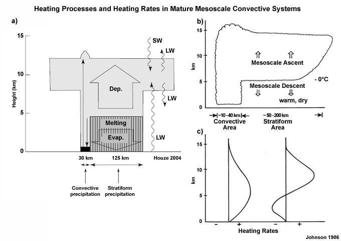 (a) Schematic of heating processes in MCS284 (b) idealized mature MCS (c) non-dimensional heating rate profiles for the convective and stratiform areas of the MCS