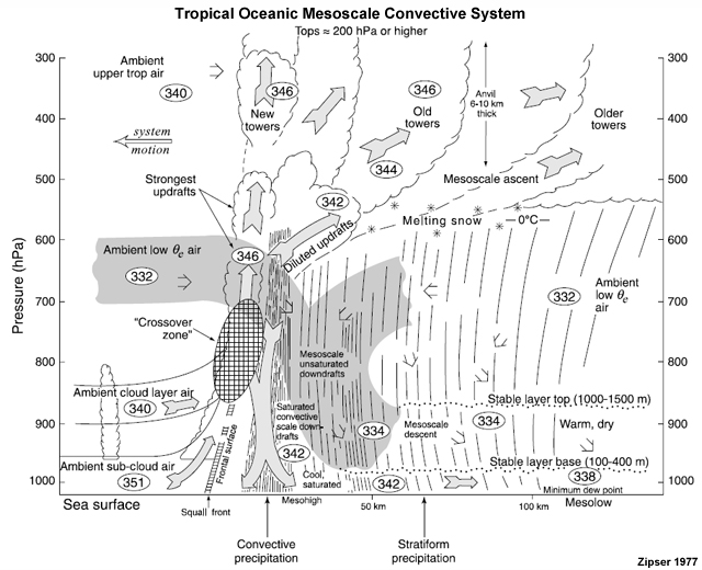 Schematic of idealized tropical oceanic MCS with leading-line/trailing stratiform structure. Air from the mixed layer (sub-cloud) rises to form the convective updrafts. Convective downdrafts result when these updraft parcels loses their buoyancy and sink to the surface with convective precipitation. A broad layer of mesoscale ascent slopes backward over an area of mesoscale unsaturated downdrafts