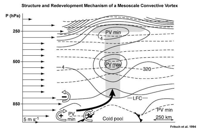Conceptual diagram of the structure and redevelopment mechanism of a mesoscale warm core vortex associated with an MCS. Thin arrows along the ordinate indicate the vertical profile of the environmental wind. Open arrows with plus or minus signs indicate the sense of the vorticity component perpendicular to the plane of the cross section produced by the cold pool and by the environmental vertical wind shear. The bold solid arrow indicates the updraft axis created by the vorticity distribution. Frontal symbols indicate outflow boundaries.