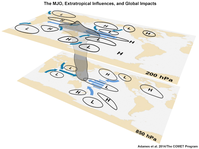 MJO and Tropical Circulations interacting with extratropical waves and the generation of Rossby wave trains, impacts on tropical cyclone activity, and anomalously high precipitation.
