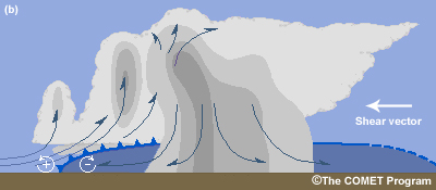 (a) Schematic of a multicellular storm, (b) multicellular storm in easterly shear with large cold pool.