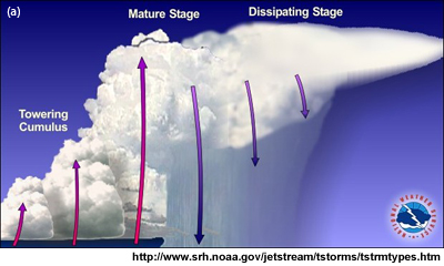 Schematic of a multicellular storm