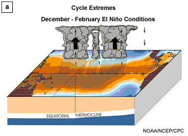 Schematic of upper ocean and atmospheric circulation during the (a) El Niño