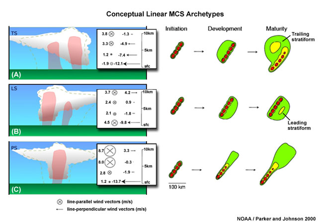 Conceptual model of midlatitude linear MCSs (squall line) archetypes, their structure and corresponding vertical shear and evolution from initiation to maturity