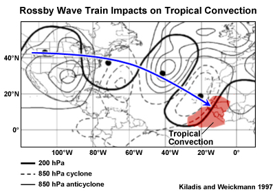 Vertical structure of wave trains related to a -1 standard deviation in OLR in the westerly duct regions