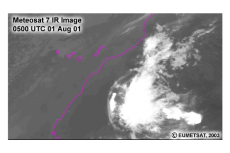 Meteosat 7 IR Image 0500 UTC 1 Aug 01