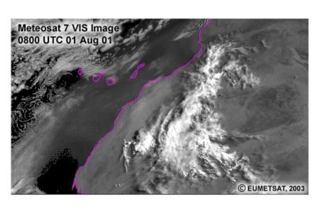Meteosat 7 VIS Image 0800 UTC 1 Aug 01
