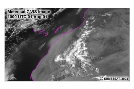 Meteosat 7 VIS Image 1000 UTC 1 Aug 01