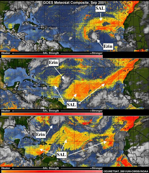 MODIS false color image