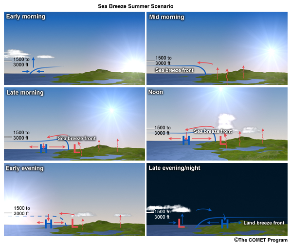 Conceptual model of the sea-land breeze evolution