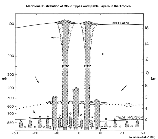 Tropical cloud types are indicated: shallow cumulus, cumulus congestus, and cumulonimbus Three stable layers are indicated: the trade inversion, the 0C layer, and the tropopause