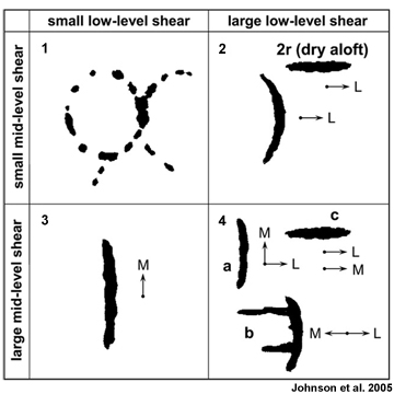 Four main categories of convective structures for given vertical shears in the lower troposphere (1000–800 hPa) and at middle levels (800–400 hPa) based on the Coupled Ocean Atmosphere Response Experiment (COARE) observations, but modified to include results from the South China Sea Monsoon Experiment (SCSMEX)