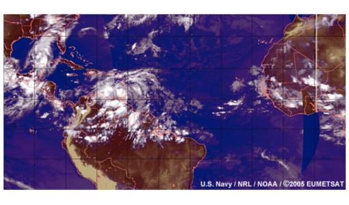 Easterly waves and tropical cyclones in the North Atlantic 2005