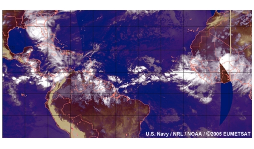 Easterly waves and tropical cyclones in the North Atlantic 2005