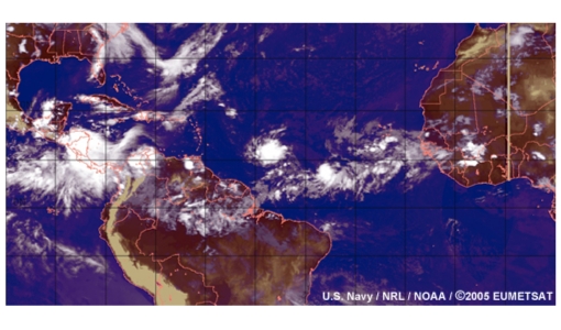 Easterly waves and tropical cyclones in the North Atlantic 2005