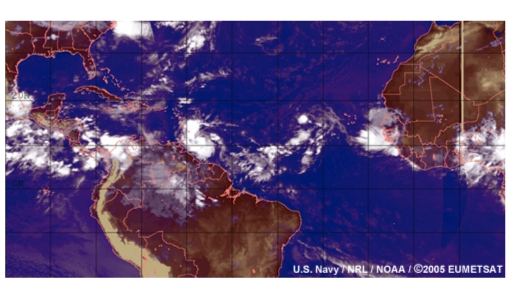 Easterly waves and tropical cyclones in the North Atlantic 2005