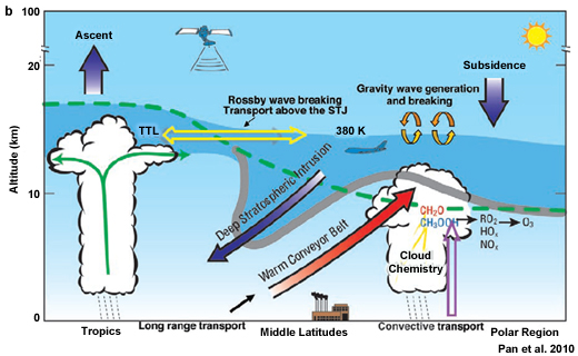 Schematic of the TTL, convection, and vertical transport in the tropics, the mean temperature profile where CPT is the cold point tropopause. (Lower) Important processes coupling dynamics, chemistry and cloud microphysics in the upper troposphere and lower stratosphere. The dashed green line denotes the time average tropopause. In the tropics, maximum outflow from deep convection occurs near ~12-14 km; while the cold point tropopause occurs near 17 km. Deep blue shading marks the TTL. Extratropical stratosphere-troposphere exchange occurs in tropopause folds and intrusions linked with synoptic weather systems, which transport stratospheric ozone into the troposphere. Green arrows represent transport of near-surface pollutants into the upper troposphere, strongly influencing global-scale chemistry. Adapted from Stohl et al. (2003)