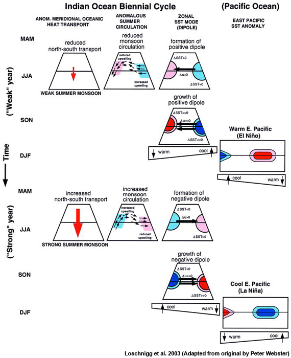 Schematic of the feedback between Indian and Pacific oceans and the Asian monsoon during the evolution from weak (dry) to strong (moist) monsoons