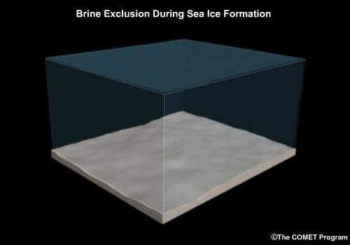 Conceptual animation of brine exclusion and subsidence of dense water when sea ice forms