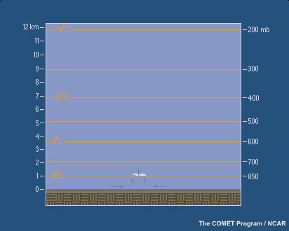 Animation of convective updrafts and downdrafts in an airmass thunderstorm