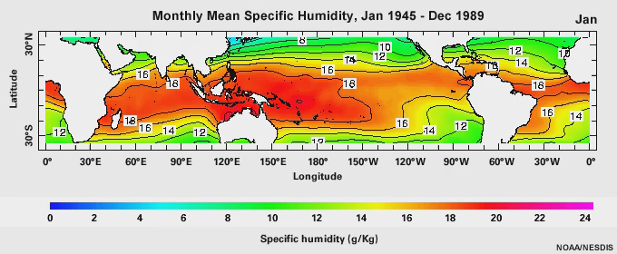 Monthly Mean specific humidity, Jan 1945 - Dec 1989