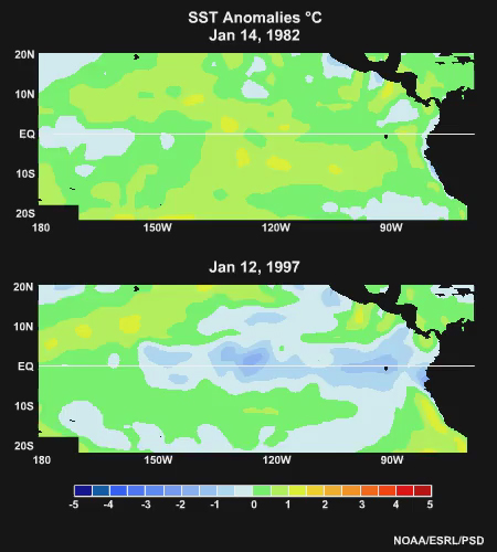 SST Animation of Two Strong El Nina Episodes (1982-83 and 1997-98)