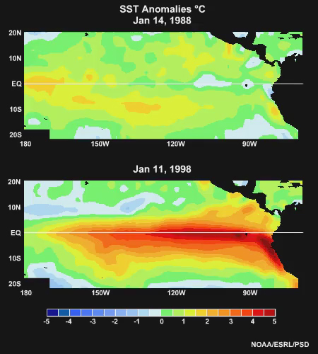 SST Animation of Two Strong La Nina Episodes (1988-89 and 1998-99)
