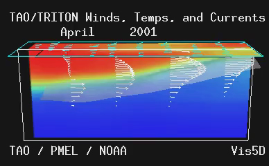Animated gif of SST, winds, 20 deg C isosurface in the equatorial Pacific for 60 months.  ENSO extremes are noted