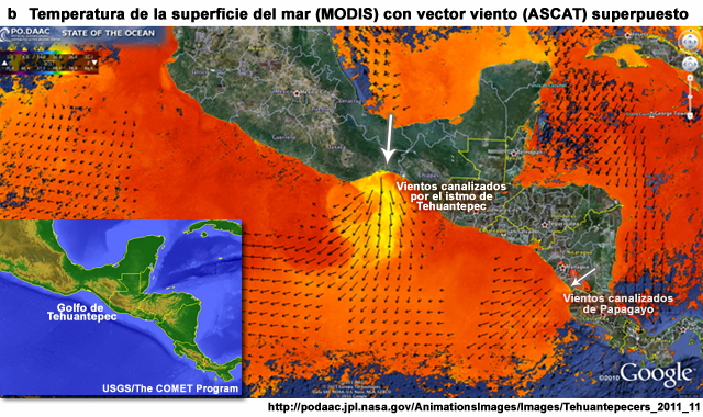 (b) TSM obtenida por MODIS el 12 de noviembre de 2011 con vector viento de superficie de ASCAT superpuesto.