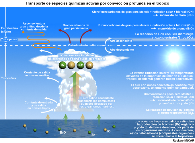 Representación esquemática del transporte vertical y muestreo aéreo de gases traza durante el programa de campo CONTRAST (CONvective transporte of Active Species in the Tropics), enero y febrero de 2014.
