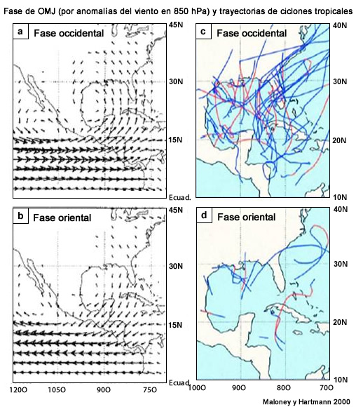 Análisis del impacto de la OMJ en la actividad de ciclones tropicales en el Pacífico oriental y el Atlántico occidental según las anomalías del viento en 850 hPa y las trayectorias de los ciclones tropicales.