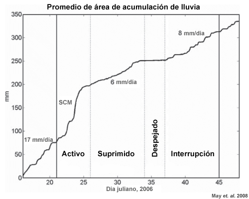 Promedio de la lluvia acumulada en un círculo de 300 km de diámetro.