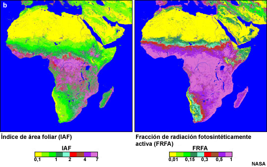 Índice de área foliar (IAF) y fracción de radiación fotosintéticamente activa (FRFA) para África, diciembre de 2000.