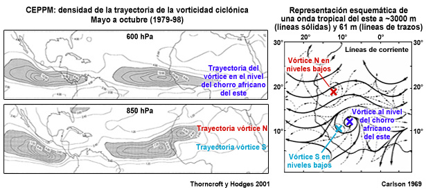 (Izquierda) Densidad media de la trayectoria de la vorticidad ciclónica de las ondas tropicales al norte y al sur del chorro africano del este; (Derecha) líneas de corriente con indicación de los vórtices de una onda tropical del este a altitudes de cerca de 3000 m (700 hPa) y de 61 m.