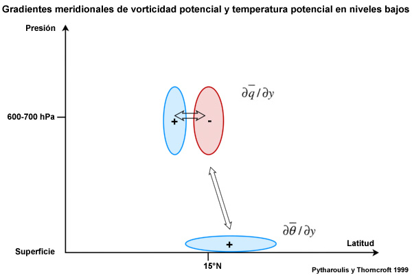 Representación esquemática de los gradientes meridionales de vorticidad potencial (δq/δy), el gradiente meridional de temperatura potencial en niveles bajos (δθ/δy) y sus interacciones (indicadas por las flechas) sobre África septentrional. Los signos más (+) y menos (−) denotan valores positivos y negativos, respectivamente.