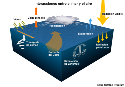 Representación esquemática de las interacciones aire-mar generales que implican transferencias de momento, calor, humedad y radiación.