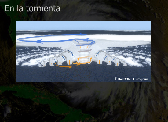 Anatomía de la tormenta