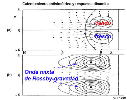 (a) Representación esquemática de la respuesta al calentamiento antisimétrico junto al ecuador: vector viento horizontal e isolíneas de velocidad vertical. (b) Isobaras de perturbación de la presión superpuestas a los mismos vectores viento. La onda mixta de Rossby-gravedad ecuatorial, que se desplaza hacia el oeste, es un modo antisimétrico dominante.