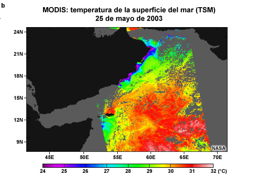 Imagen MODIS de la temperatura de la superficie del mar centrada en el mar Arábigo en la cual se notan las temperaturas frías provocadas por el afloramiento junto a la costa de Omán el 25 de mayo de 2003.