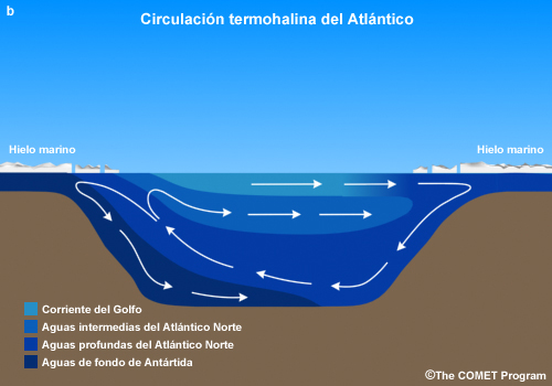 Imagen conceptual de la circulación termohalina del Atlántico.