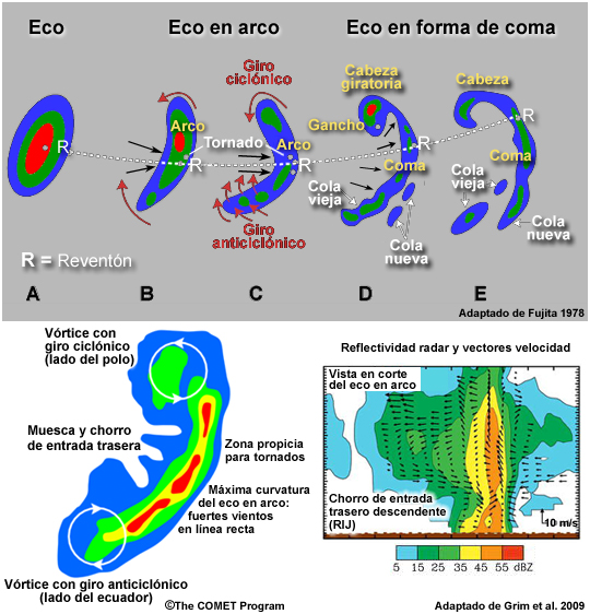 (a) Modelo conceptual de la evolución de un eco en arco y los lugares que favorecen la formación de reventones, tornados y parejas de vórtices con giro ciclónico y anticiclónico. (b) Corte transversal de un eco en arco con sus estructuras características, como la muesca de entrada trasera (o de eco débil) que marca la posición del chorro de entrada trasero, descendente, que produce vientos dañinos en línea recta en la superficie. (c) Corte vertical a través de la imagen de reflectividad radar de un eco en arco con indicación del flujo en la tormenta, incluido el chorro de entrada trasero.