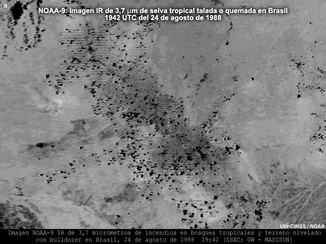 Imagen del POES de NOAA de 3,7 micrómetros (IR cercano) de incendios y cambios en la superficie en Brasil.
