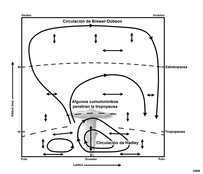 Representación esquemática de la circulación troposférica y estratosférica meridional media en el solsticio (OMM, 1985). Buena parte del aire estratosférico entra a través de la tropopausa tropical.