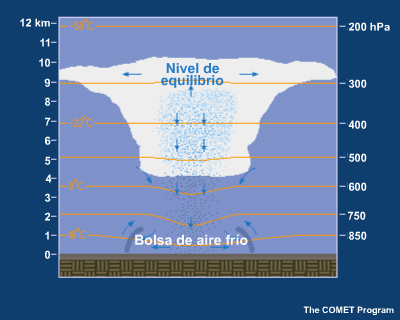Inhibición de la convección por la estabilización de la capa límite superficial por las corrientes descendentes frescas. 