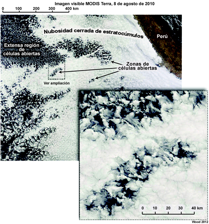 Células de nubes abiertas y cerradas en la capa límite sobre el Pacífico sudoriental tropical (junto a la costa de Perú).