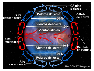 El modelo de células de la circulación general de la atmósfera.