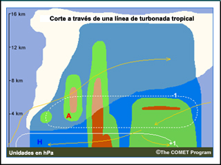 Corte a través de una línea de turbonada tropical